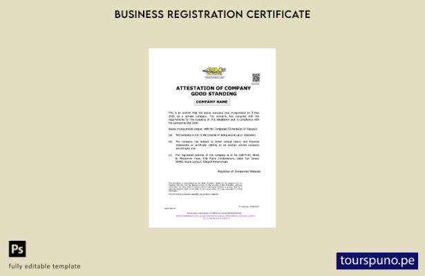 listo para imprimir Certificado de Malasia de buena reputación de la empresa Pla